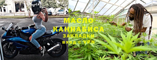 крисы Бородино