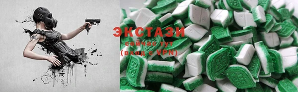 крисы Бородино