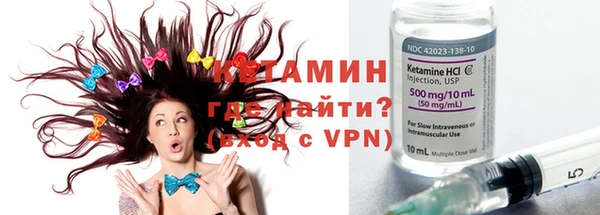 крисы Бородино