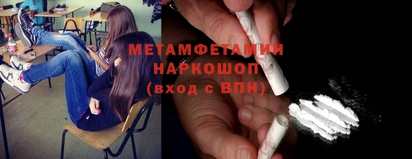 крисы Бородино