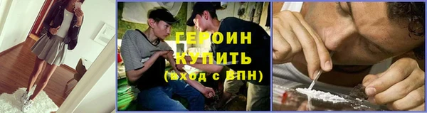 крисы Бородино