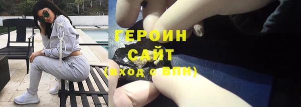 крисы Бородино