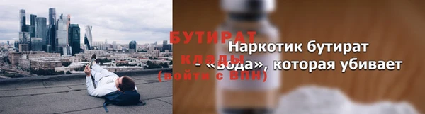 крисы Бородино