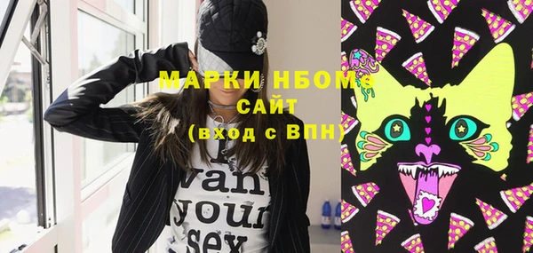 крисы Бородино