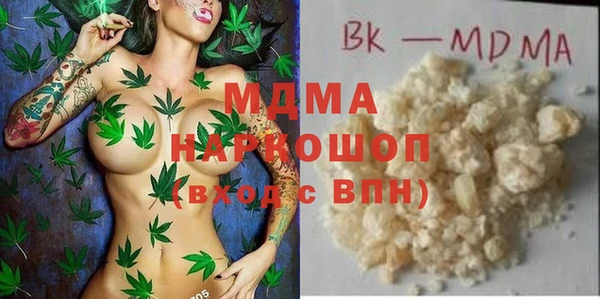 крисы Бородино