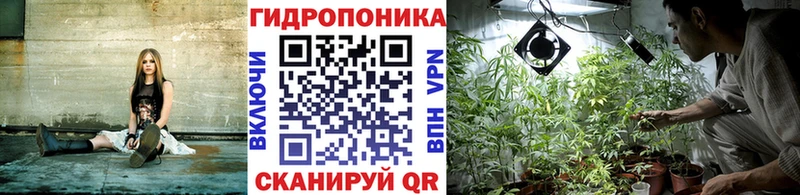 OMG онион  Боготол  Шишки марихуана конопля 